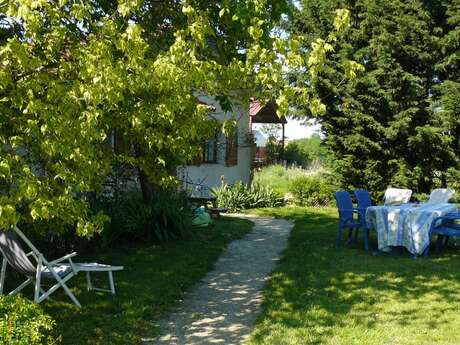 Les cèdres des Collines