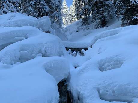 Circuit des cascades de glaces, sur les traces du loup