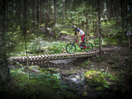 DH Bike Park Bernex Bern'land