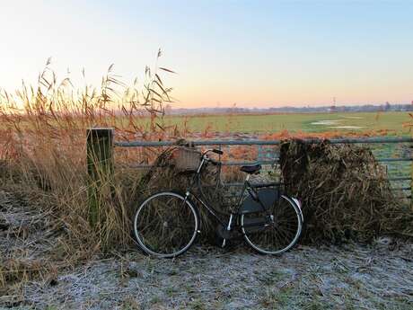 Parking vélos - Plage de l'Aile du Peu