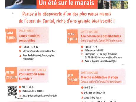 Sortie Nature Ludique