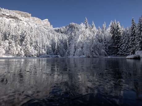 Halbtagesausflug zum Lac vert mit Schneeschuhen