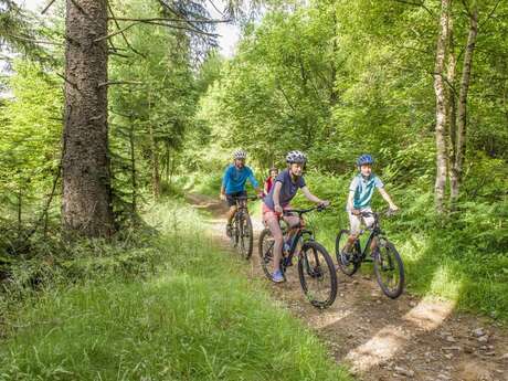 2 - Le Bois de Peybrousson