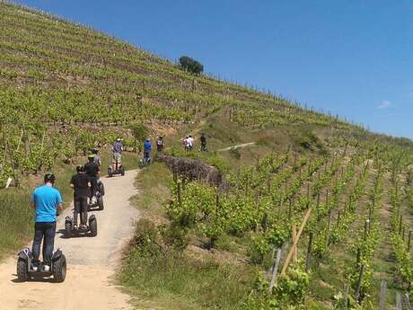 Séjour 2 jours - Gyropode dans les vignobles