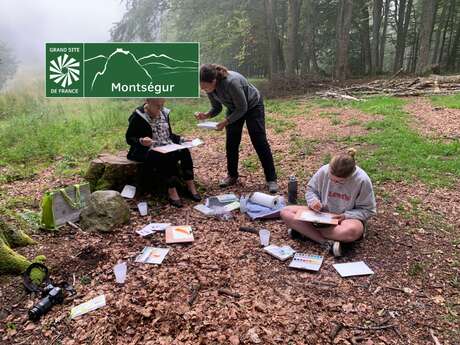 Je crée mon carnet botanique (Aquarelle et Reliure)