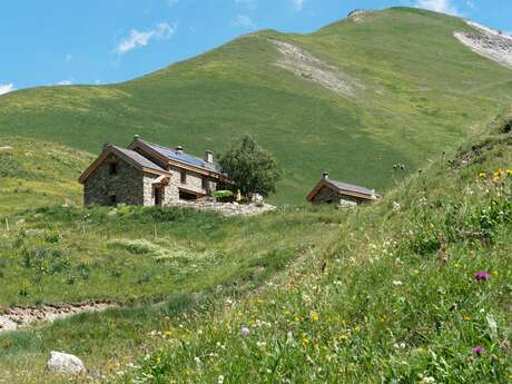 Après-midi botanique au Refuge du Pic du Mas de La Grave