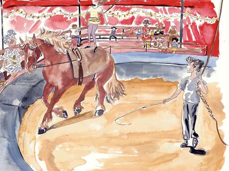 Initiation à la voltige à cheval Initiation à la voltige à cheval