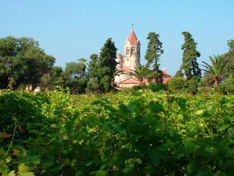 Ile Saint Honorat Salle Saint Vincent