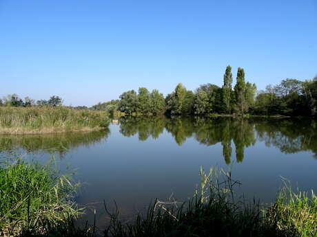 Bird Gravel Pit