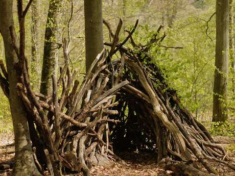 Laboratorio: costruire una casa sull'albero