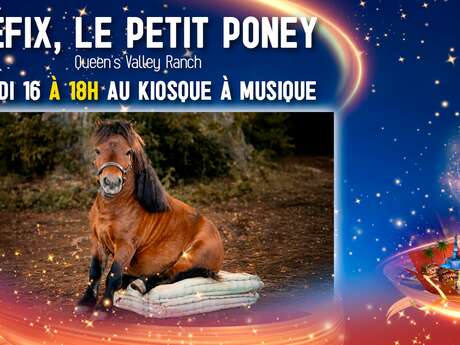 Nouméa Féérie - Idéfix, le petit poney