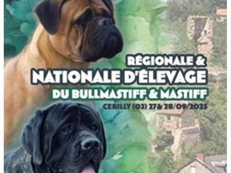 Nationale d'élevage Bullmastiff et Mastiff