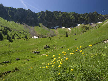 Randonnée à l'alpage de Graydon