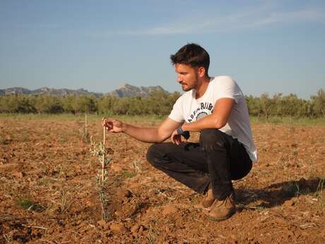 Amouriès - Domaine Delabarre