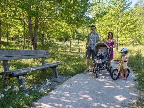 Le sentier forestier de la Pineraie