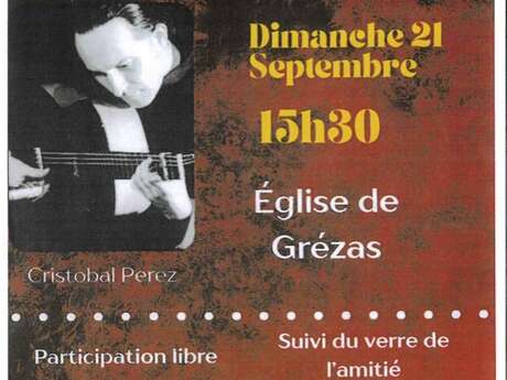 Concert Guitare