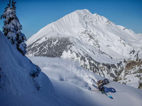 Heliskiing or freeride sessions