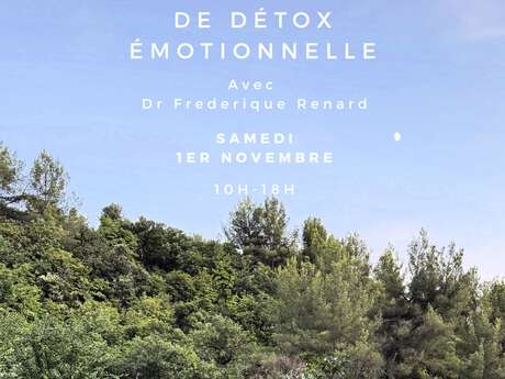 Atelier Salutogénique de Détox Emotionnelle Atelier Salutogénique de Détox Emotionnelle