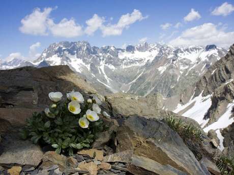 From the Drouvet summit to Prapic