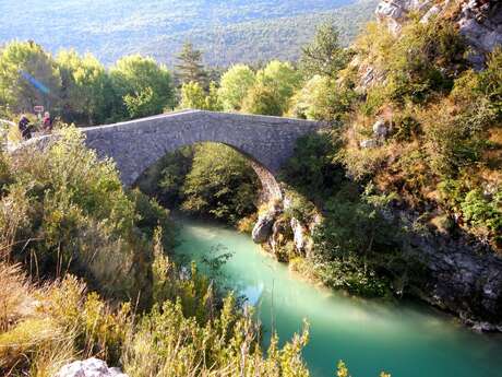 LA MARTRE - L'Avelanier