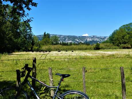 SÉNAS - Perrier Redon à vélo