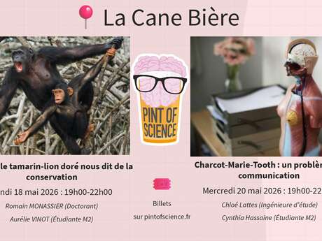 Charcot-Marie-Tooth : un probleme de communication - Pint of Science 2026