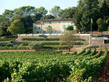 Domaine Villa Vallombrosa