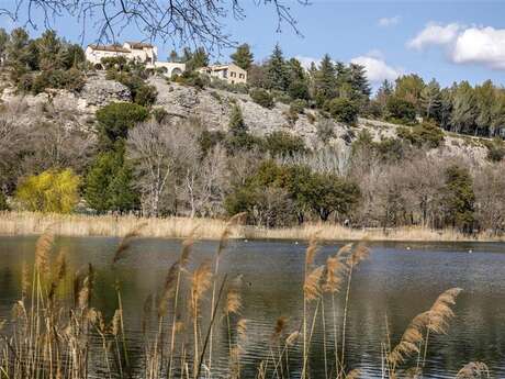 Parcours Cyclo n°8 - Petit Plateau