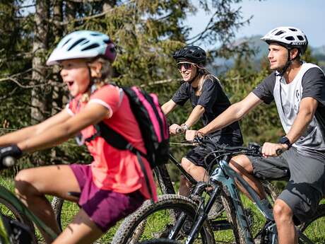 Merle/Danay -  Cross-country MTB-parcours nr. 14