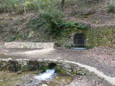 SAINT-ZACHARIE - La forêt du Défens par la piste de l'eau