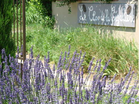 Le Clos de la Cigalière
