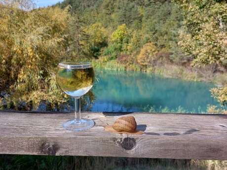 Les escargots du lac