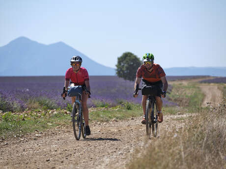 2 Tage GRAVEL Bike - Provence und Verdon 2 Tage GRAVEL Bike - Provence und Verdon