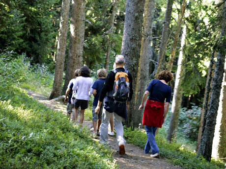 Sentier découverte forestière