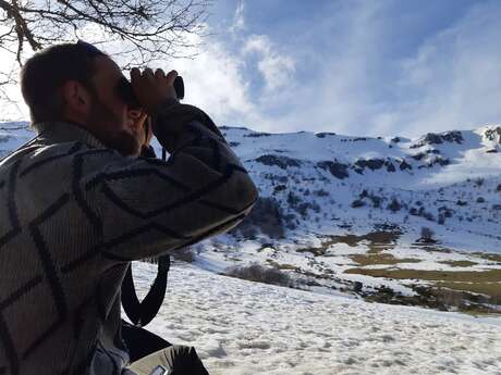 Marcher sur la piste du chat forestier au Pic Pelé