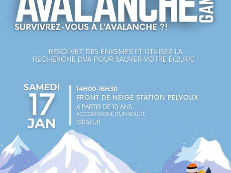 Avalanche Game Pelvoux