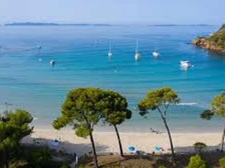 Randonnée à La Londe les Maures (L'Estagnol)