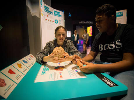 Expo : Intelligences. Différentes par nature