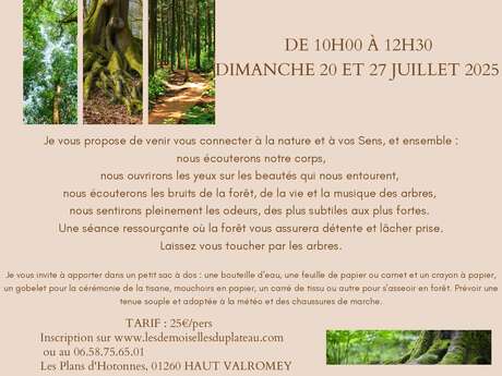 Forest baths with Les Demoiselles du Plateau
