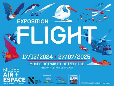 Exposición - Flight