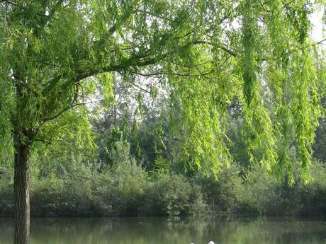 Le Jardin de Gaston