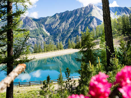 Au frais des mélèzes - Itinéraire de randonnée