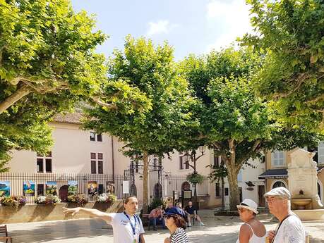 Visite Découverte de Cassis