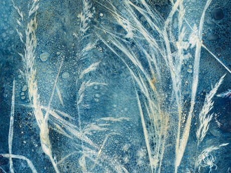 Exposition 36Terre Nature