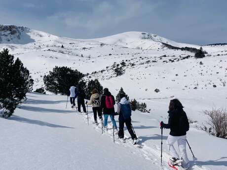 1/2 día de raquetas de nieve con Pyrénées Excursions