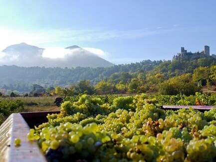 Domaine la Mercadine