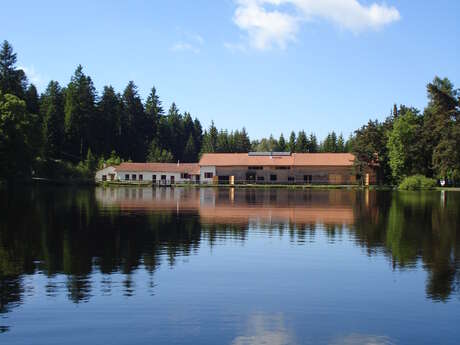 Chambre d'hôtes - La Maison du Lac