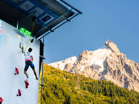 Coupe du Monde d'escalade