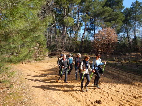 Marche nordique et BungyPump