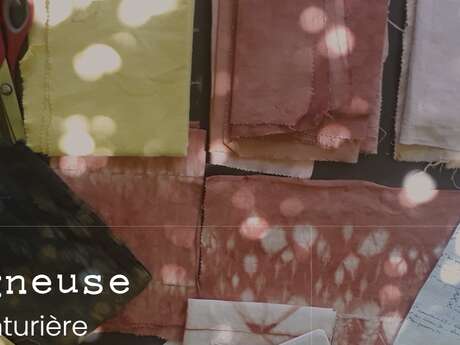 La Teigneuse, atelier de teinture végétale